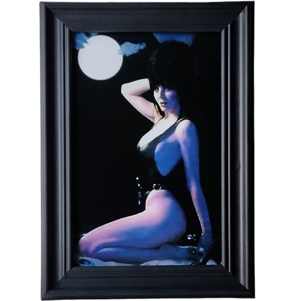 Elvira Horror Queen Cult Classic Gothic Punk Rock 80s 90s framed print Pin Up